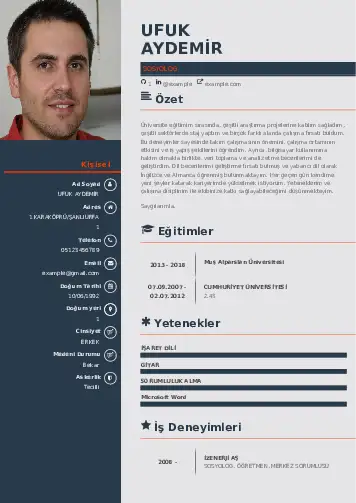 cv indir